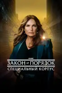 Закон и порядок (франшиза) 